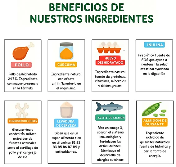 Ingredientes de comida natural para perros +kn
