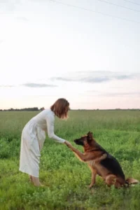 Adiestramiento de perros y etología profesional