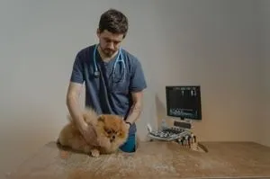 Etología para veterinarios